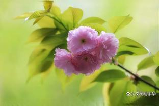 玉面屠夫，球场战神！？利马迎来26岁生日，曼联送上生日祝福